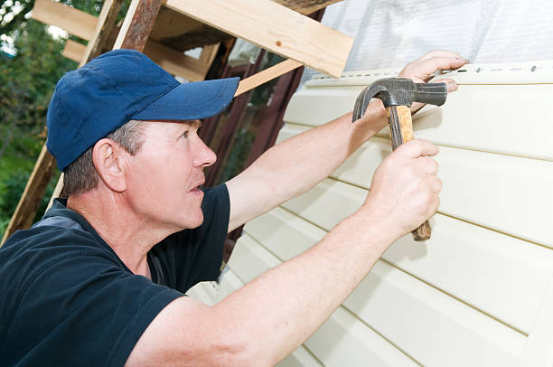 Best Stucco Siding  in Gleason, TN